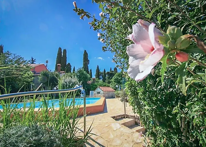 Poolside Compact Family Sara *